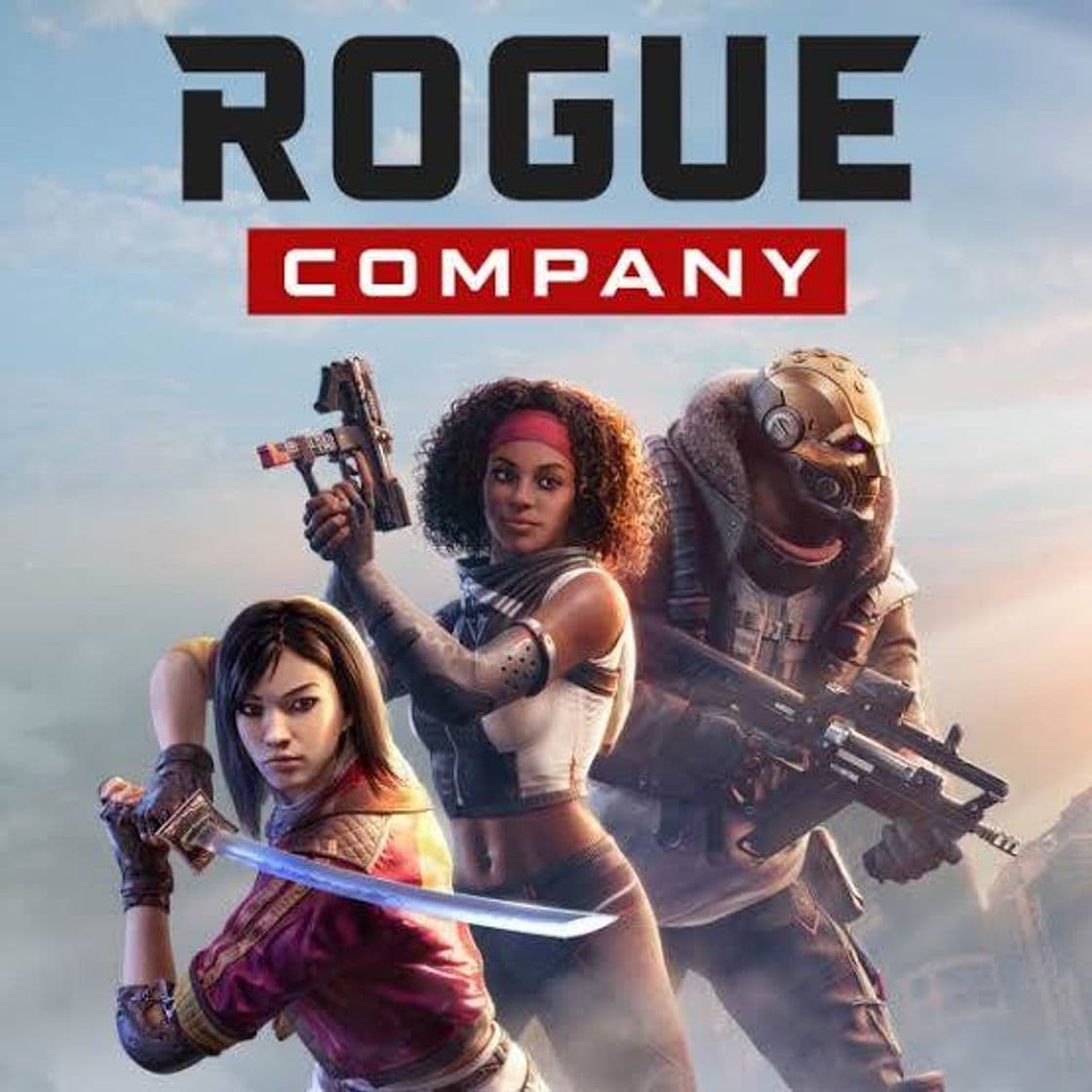 Videogames Rogue Company