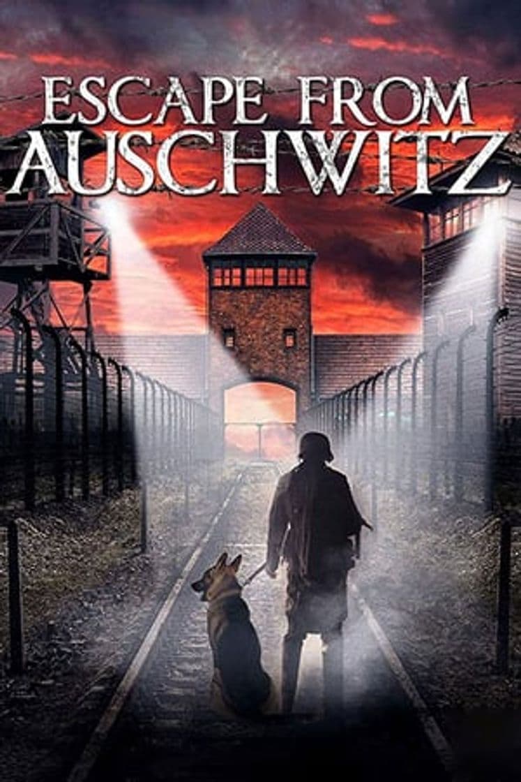 Película The Escape from Auschwitz