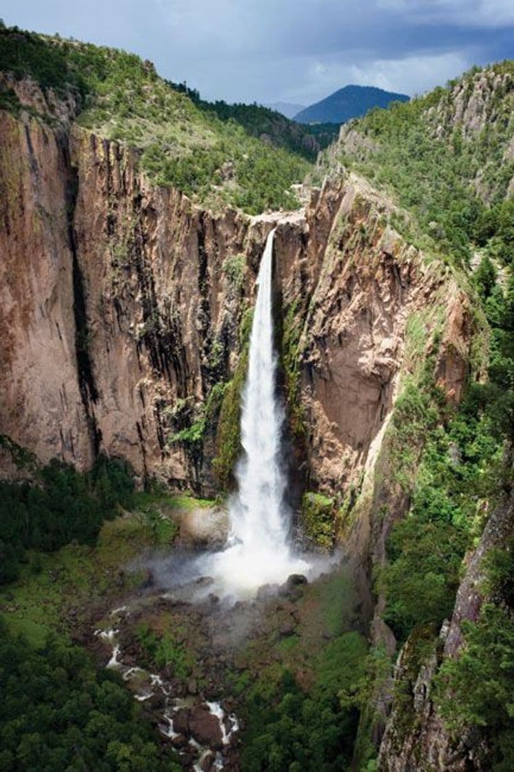 Lugar Cascada de Basaseachi