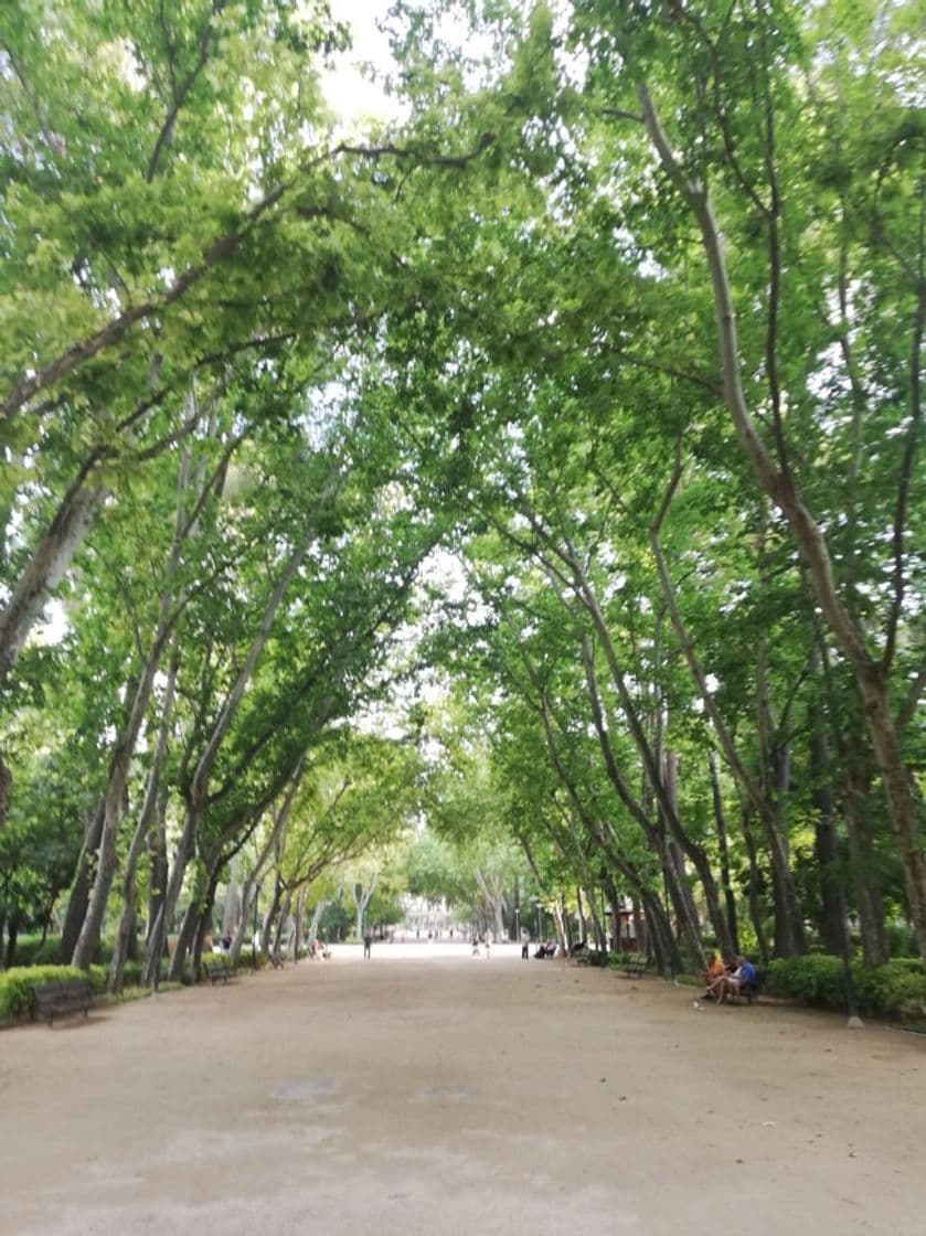 Place Parque Urbano Abelardo Sánchez