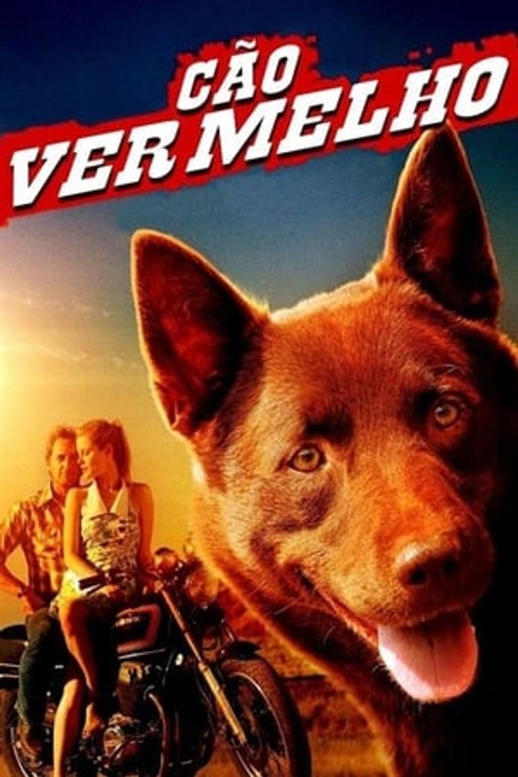 Movie Red Dog