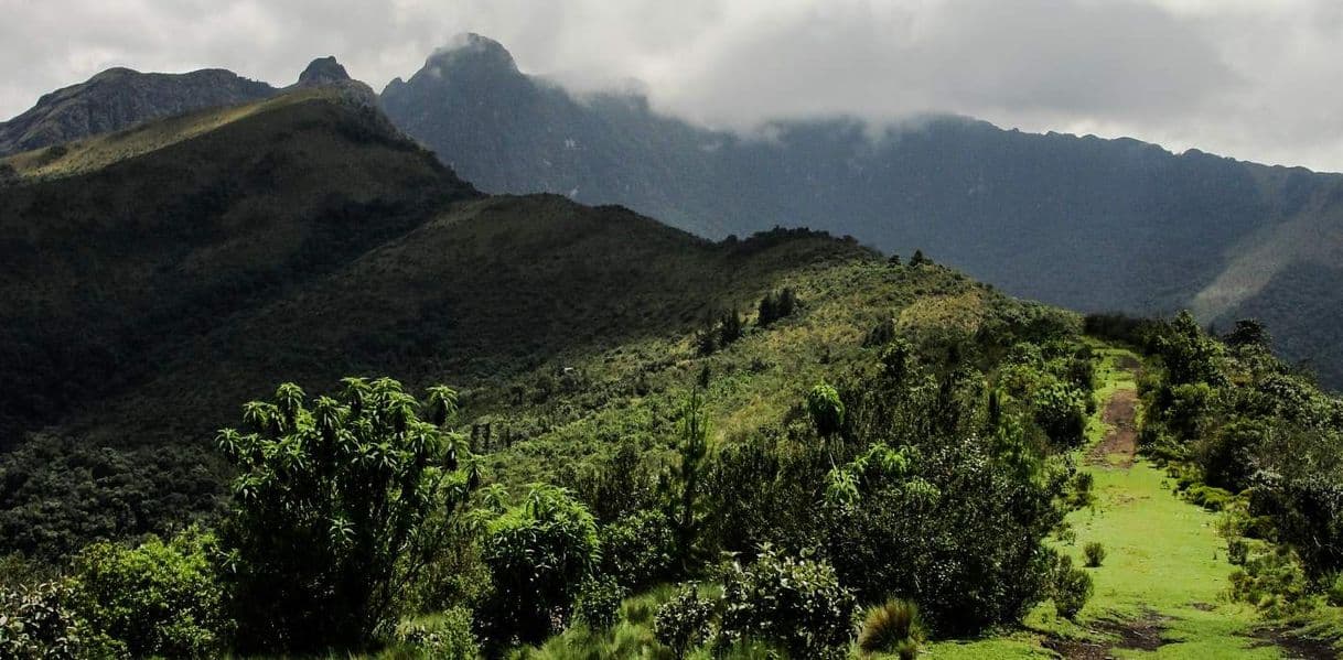 Lugar Refugio de vida silvestre Pasochoa