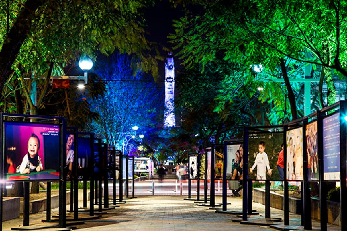 Lugar Avenida Chapultepec