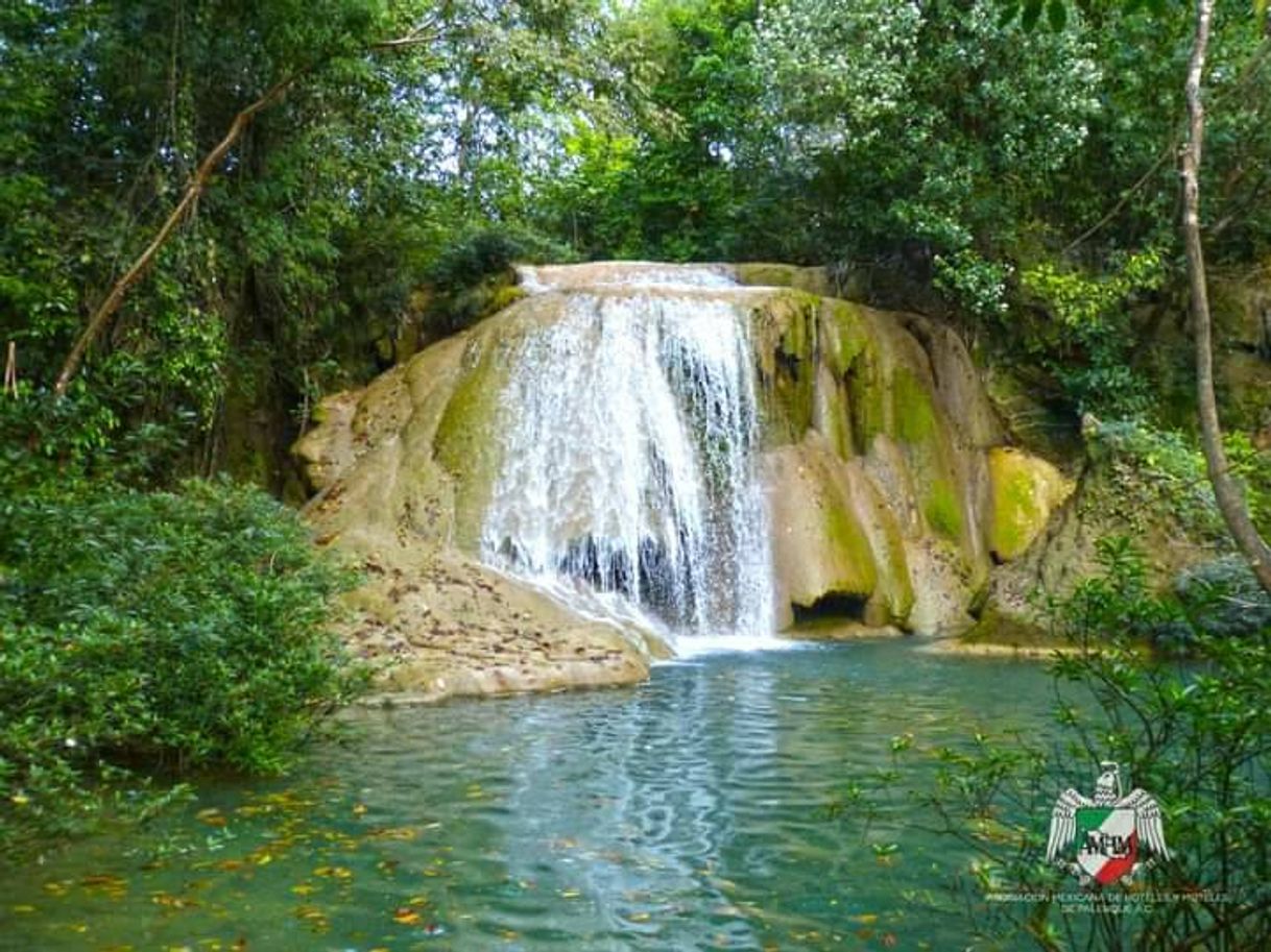 Lugar Cascadas Roberto Barrios