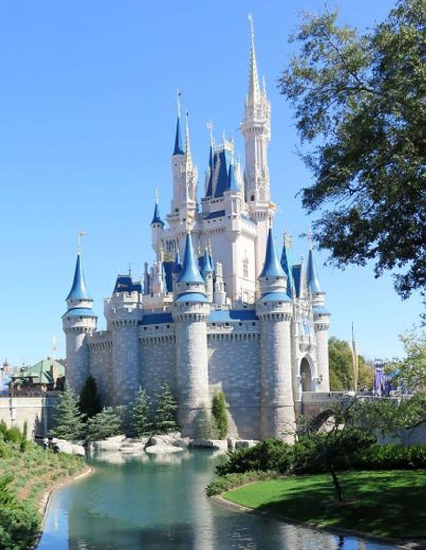 Place Disney World