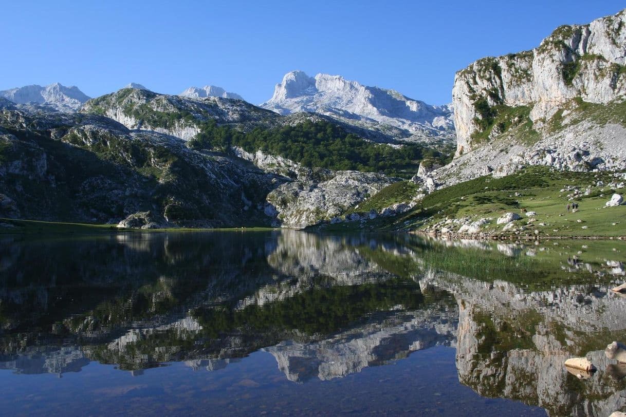 Lugar Picos de Europa