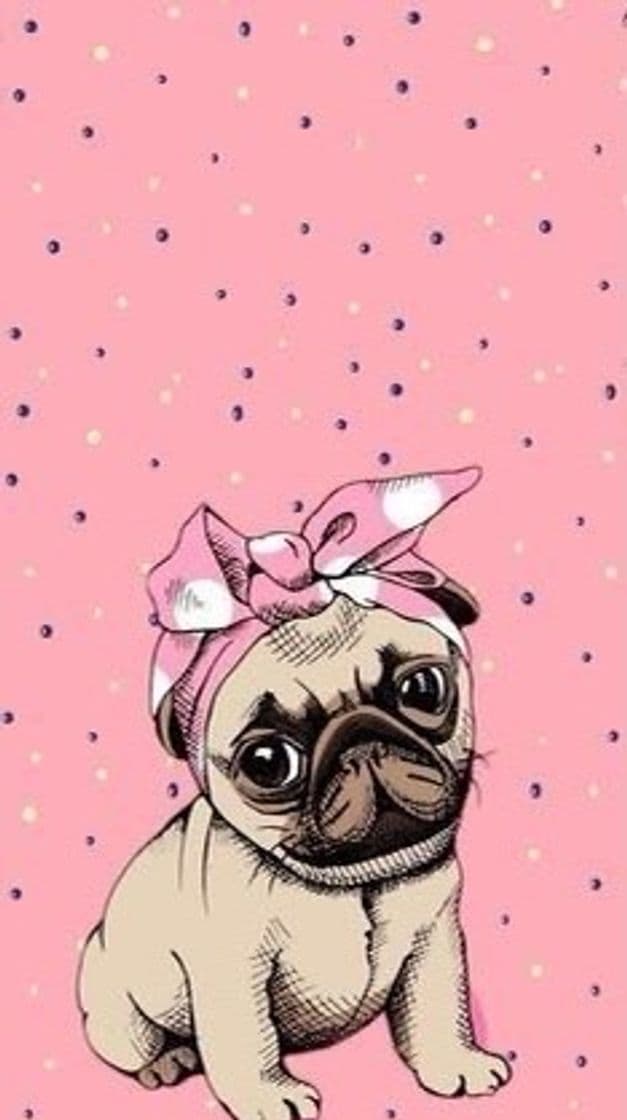 Moda Pug de lacinho 🎀