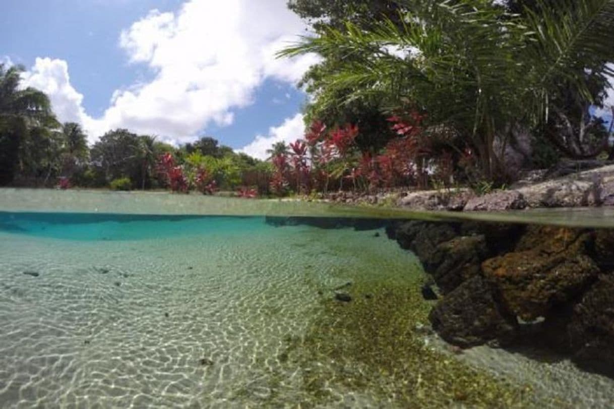 Place Rio do Fogo