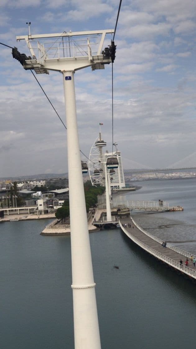 Lugar Oceanario de Lisboa