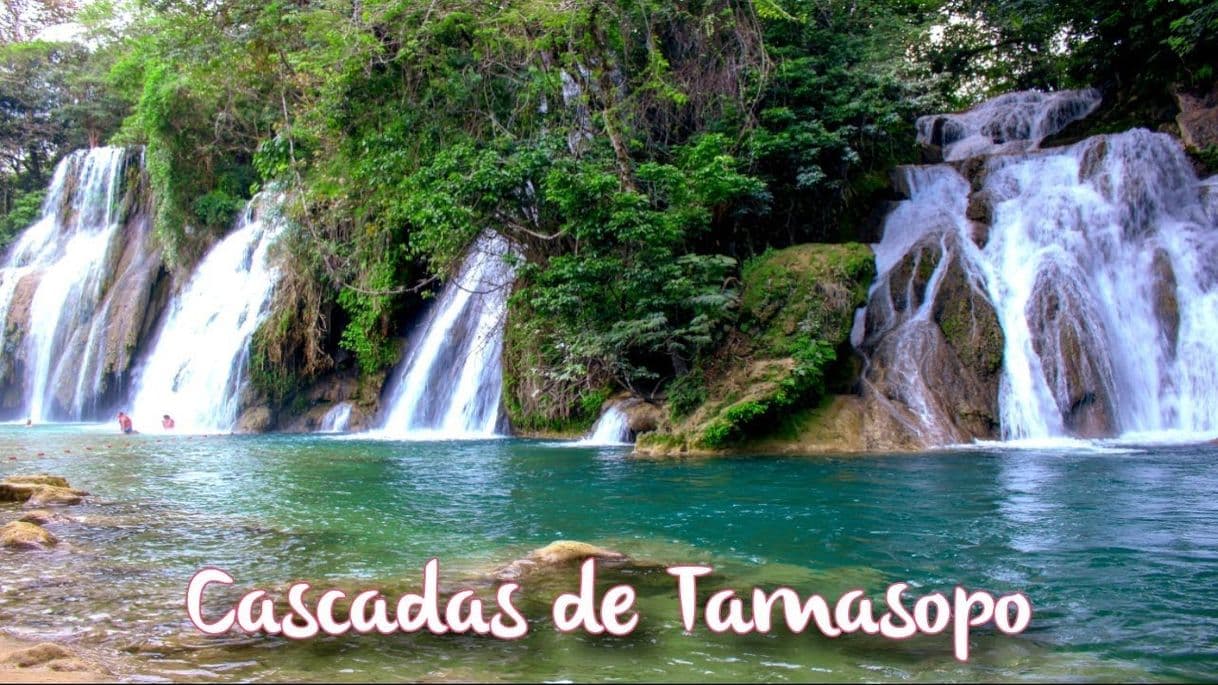 Place Cascadas de Tamasopo