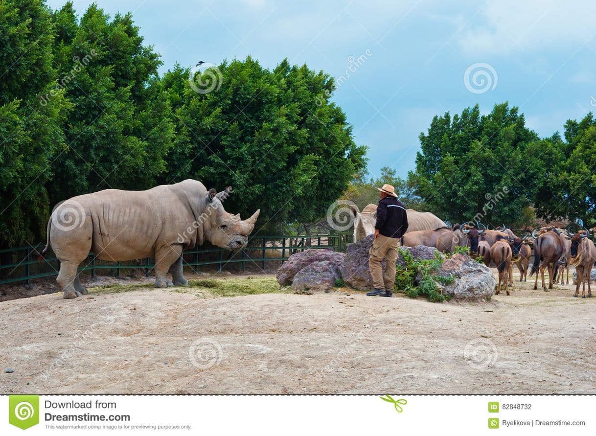 Lugar Africam Safari