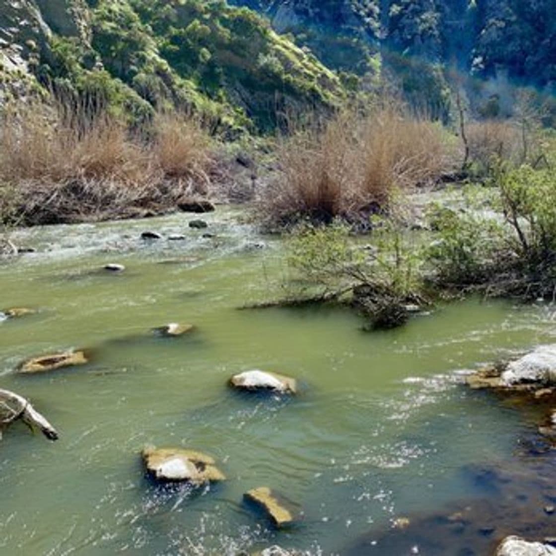 Lugar Azusa River Wilderness Park