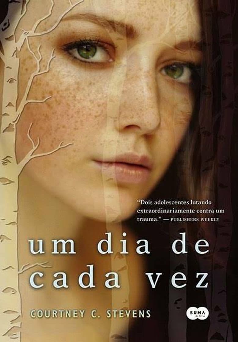 Book Um dia de cada vez 