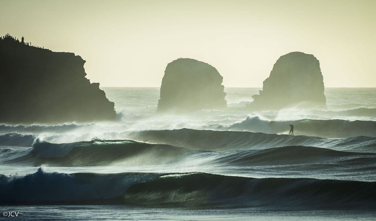 Lugar Punta de Lobos