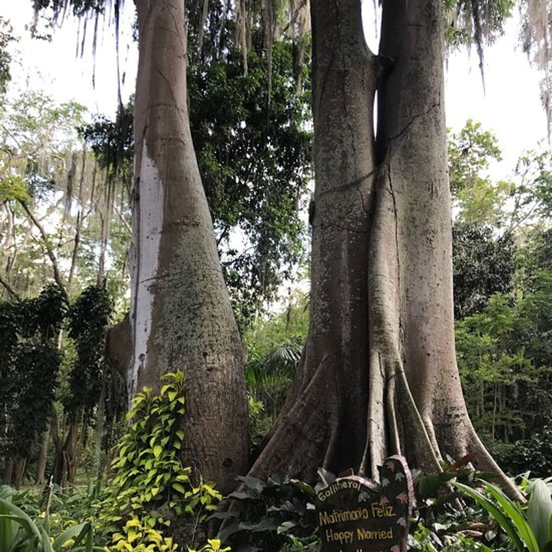 Place Parque El Gallineral