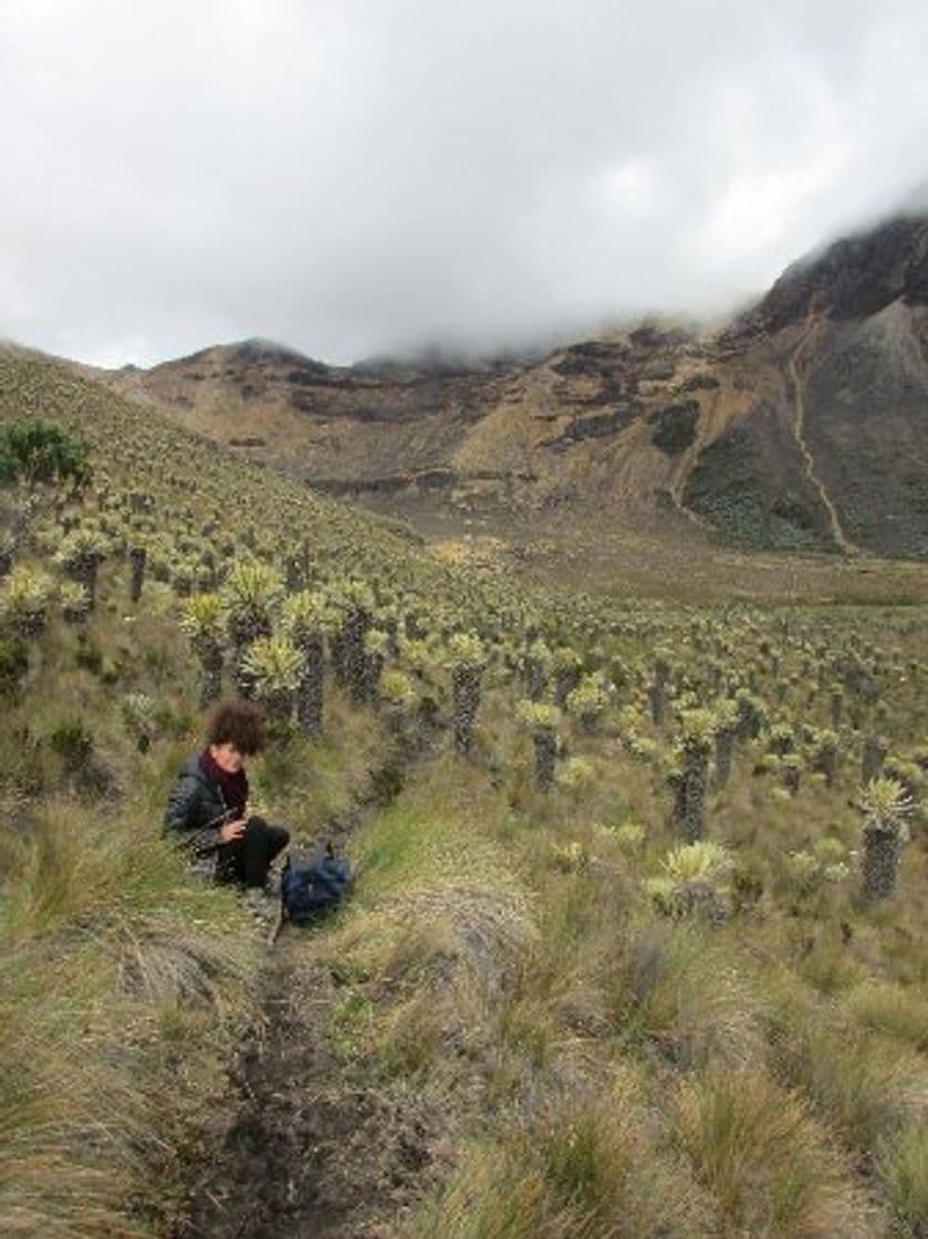 Place Expedicion Parque Nacional De Los Nevados