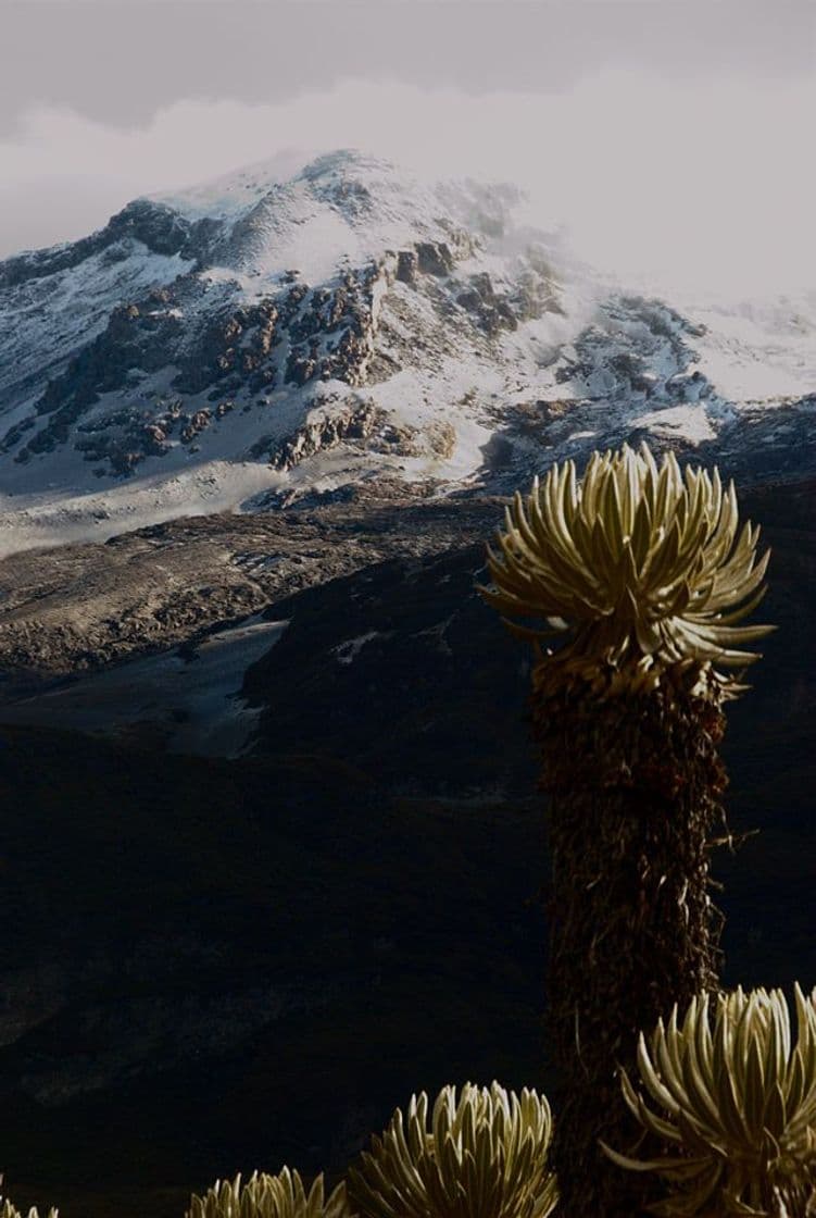 Place Nevado del Ruiz