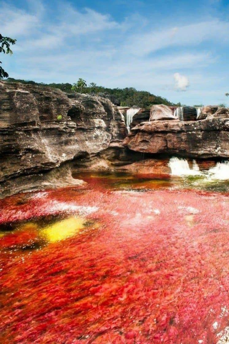 Moda Río de colores - Colombia