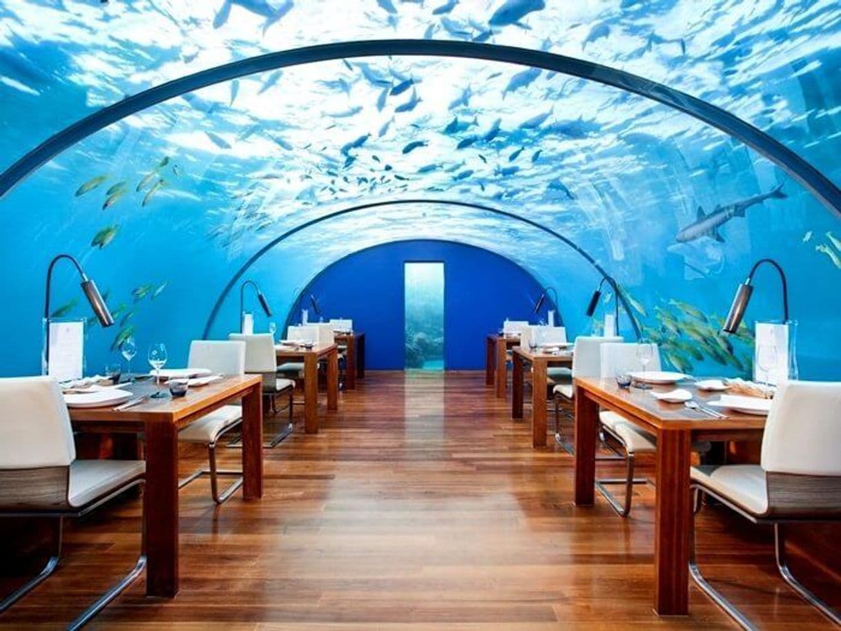 Restaurants Ithaa Undersea Restaurant