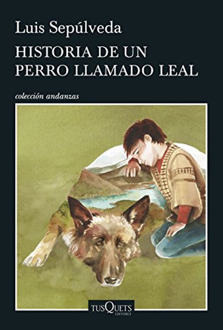 Libro Historia de un perro llamado Leal: 11