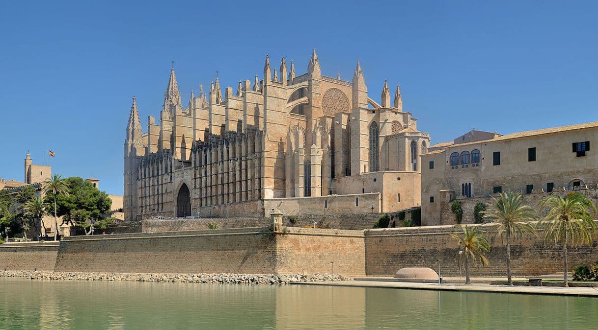 Lugar Catedral-Basílica de Santa María de Mallorca