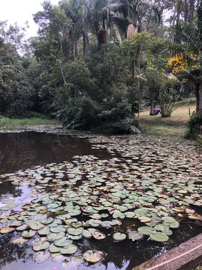 Lugar Parque Natural Municipal do Itaim