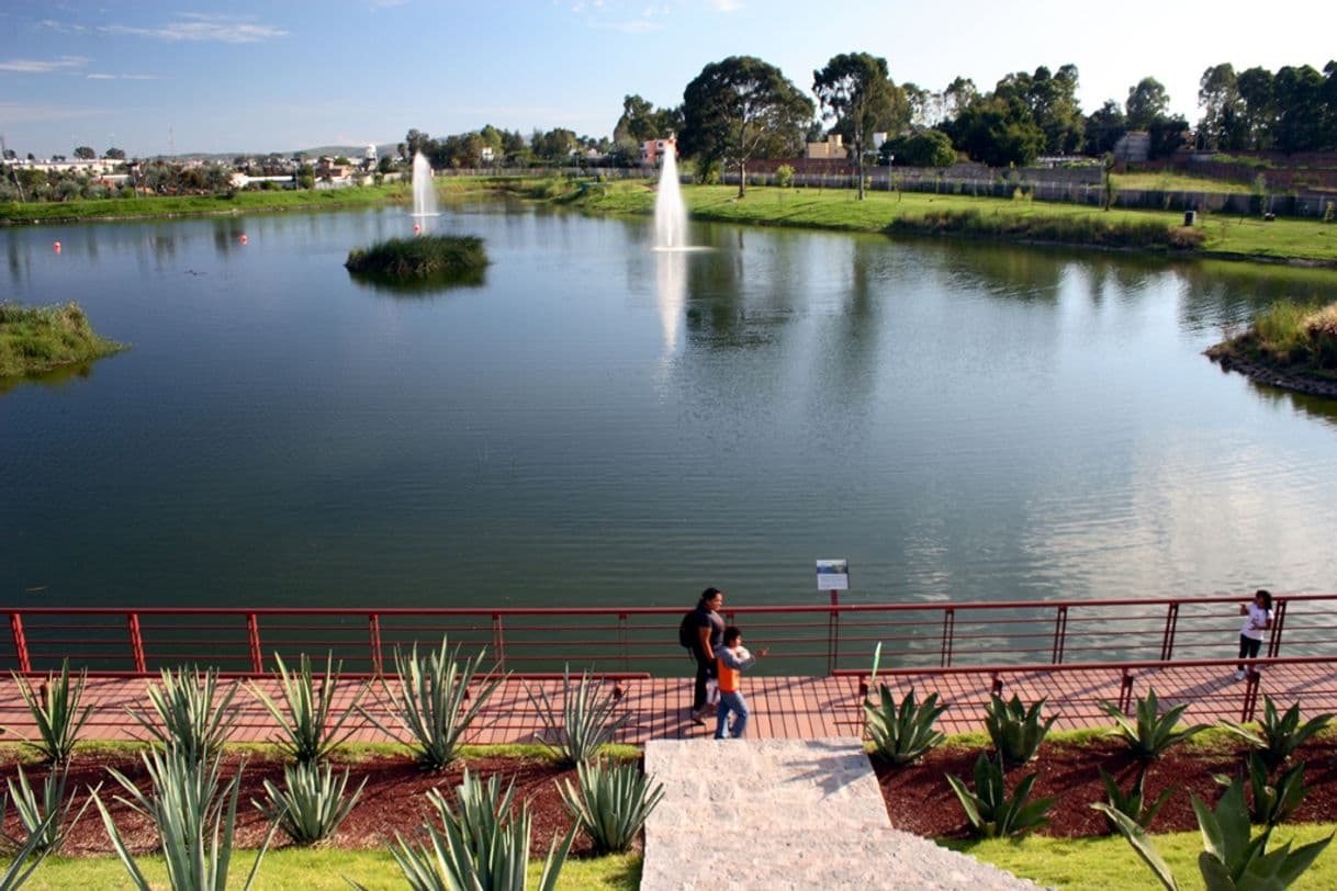 Place PARQUE DEL CENTENARIO LAGUNA DE CHAPULCO