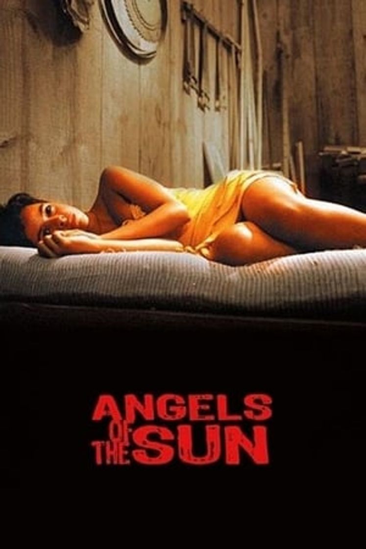 Película Angels of the Sun