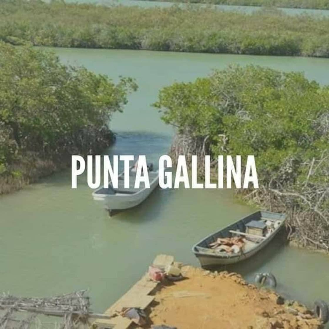 Lugar Punta Gallinas