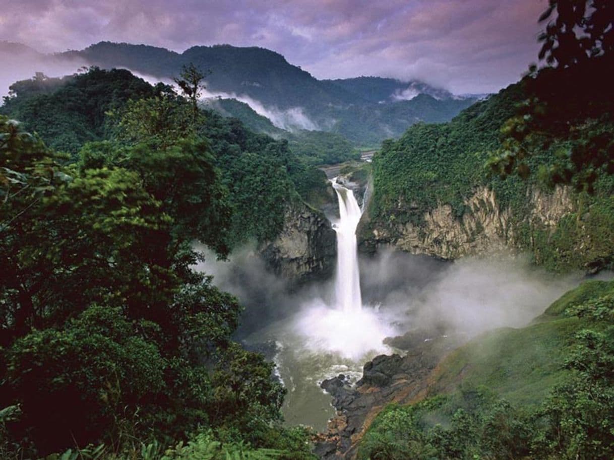 Lugar Yasuni National Park