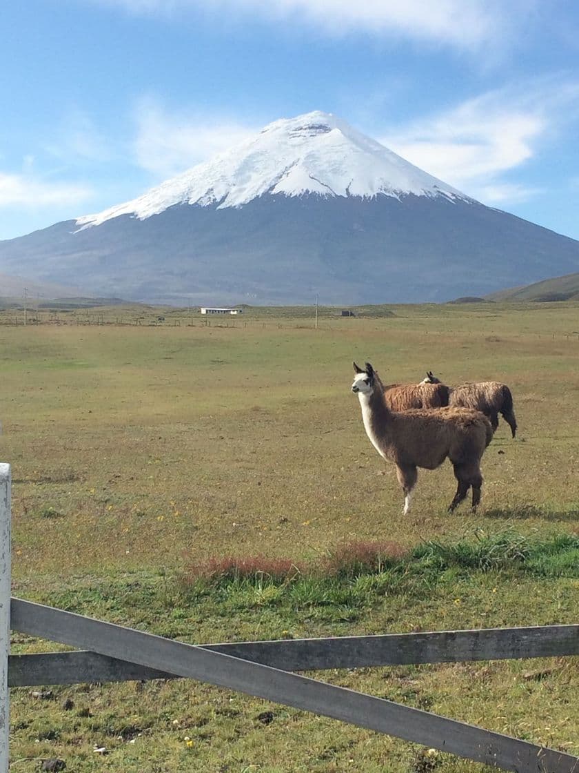 Lugar Parque Nacional Cotopaxi