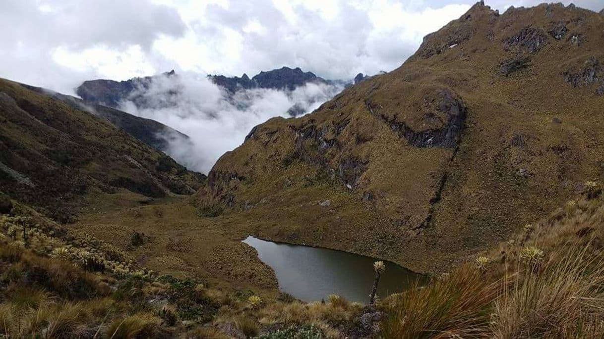 Fashion Paisajes Colombia paramos