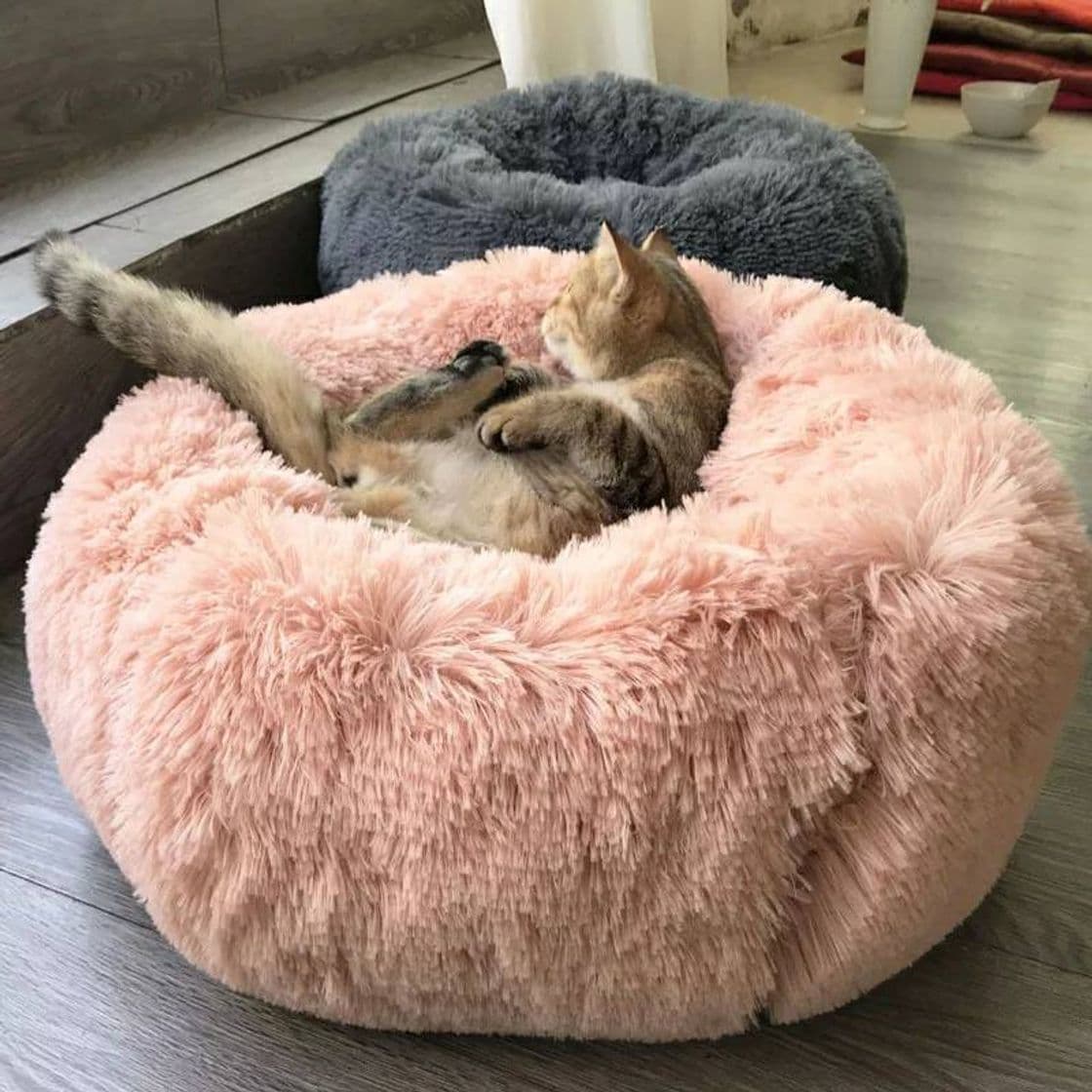 Moda Cama para animales