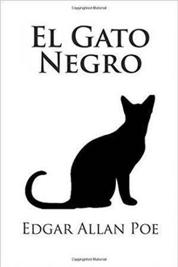 Fashion El gato negro 