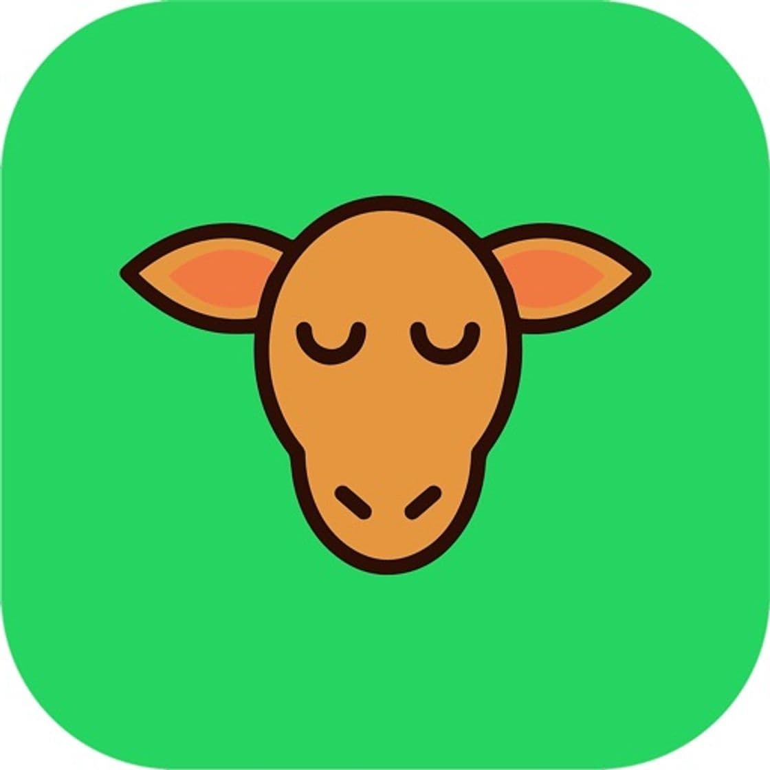 App CashCamel - Surveys for Cash