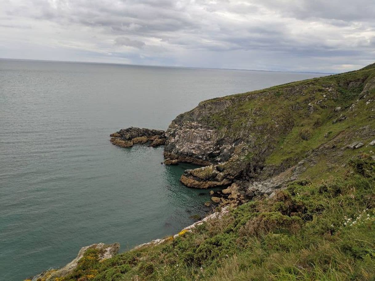 Lugar Howth Cliff Walk (Green Route)