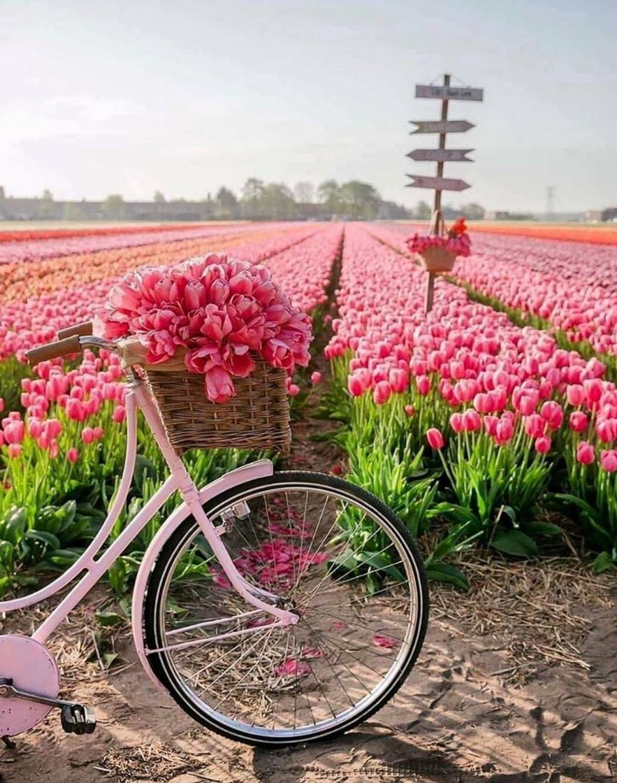 Moda 🚲🌷🌷