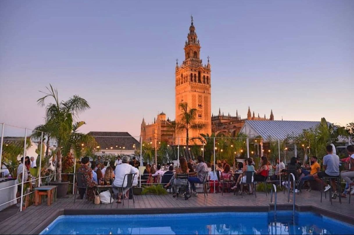 Restaurantes Pura Vida Terraza