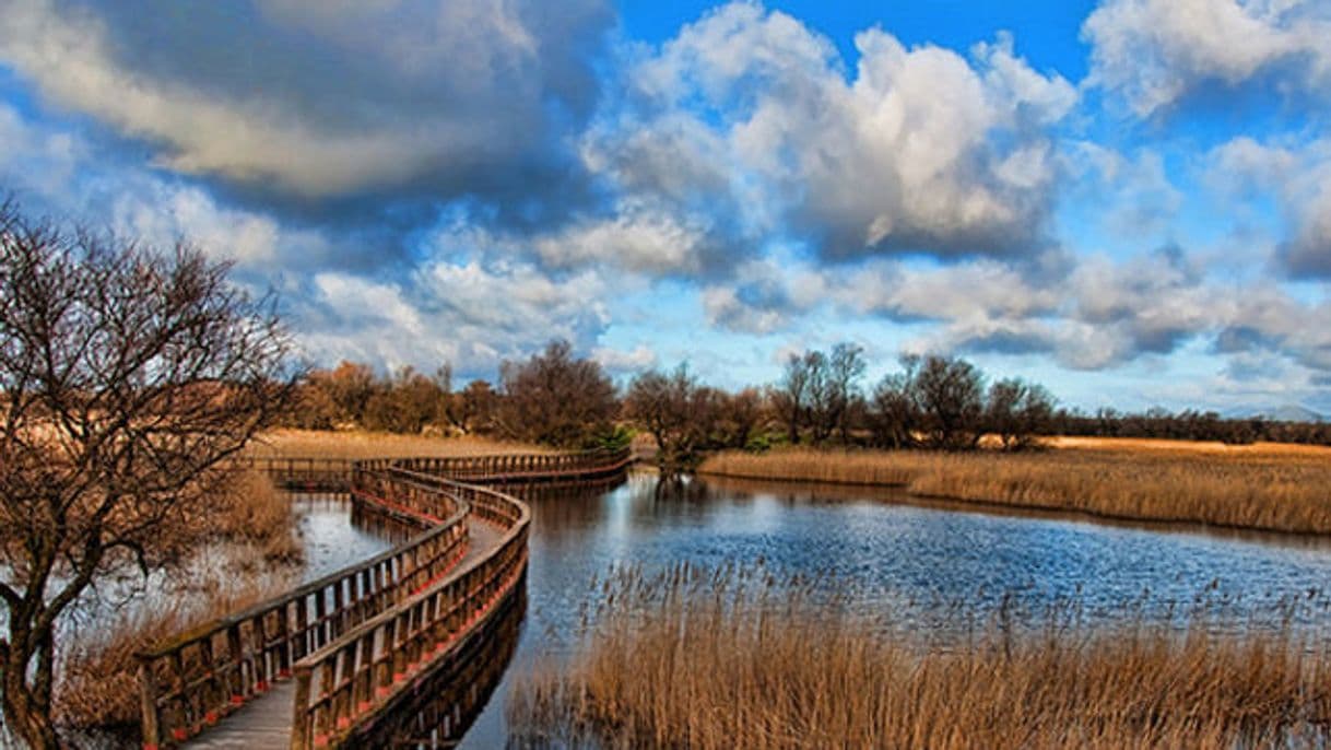 Place Tablas de Daimiel