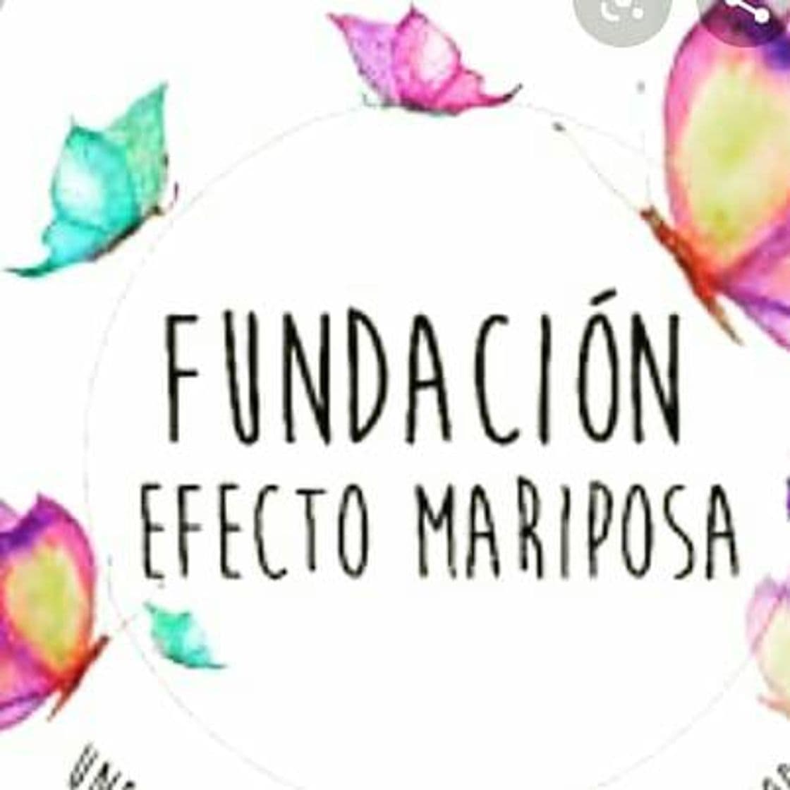 Fashion Fundación Efecto🦋