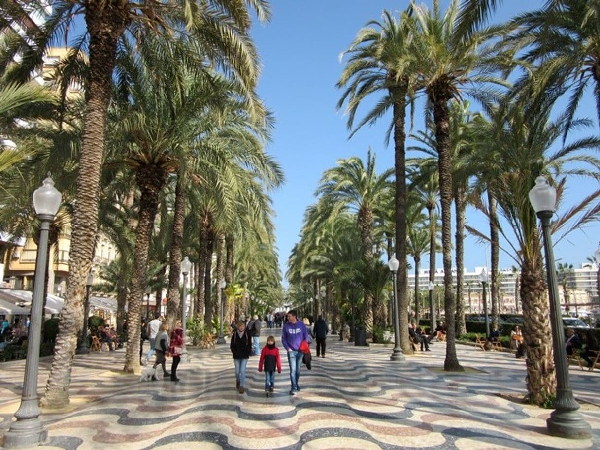 Lugar Alicante Centro Ciudad