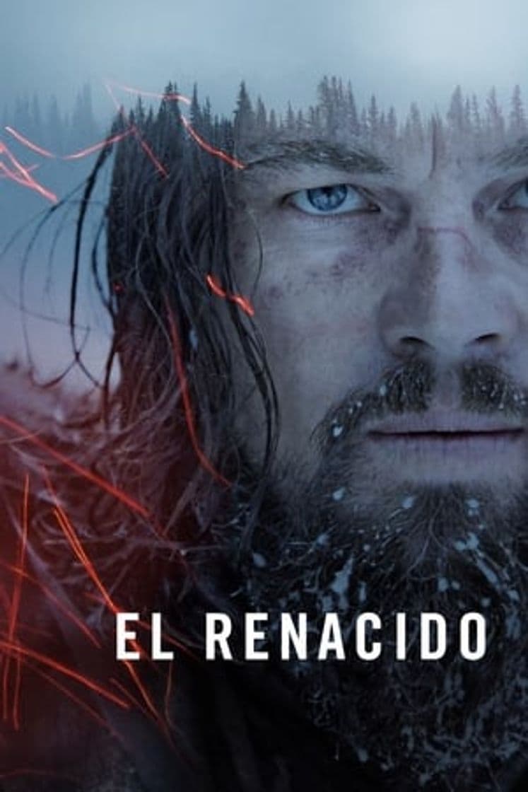 Movie The Revenant