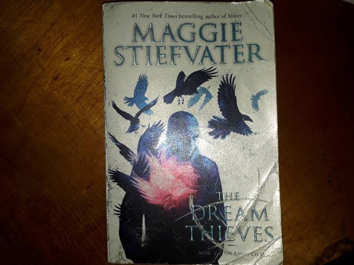 Book The Dream Thieves