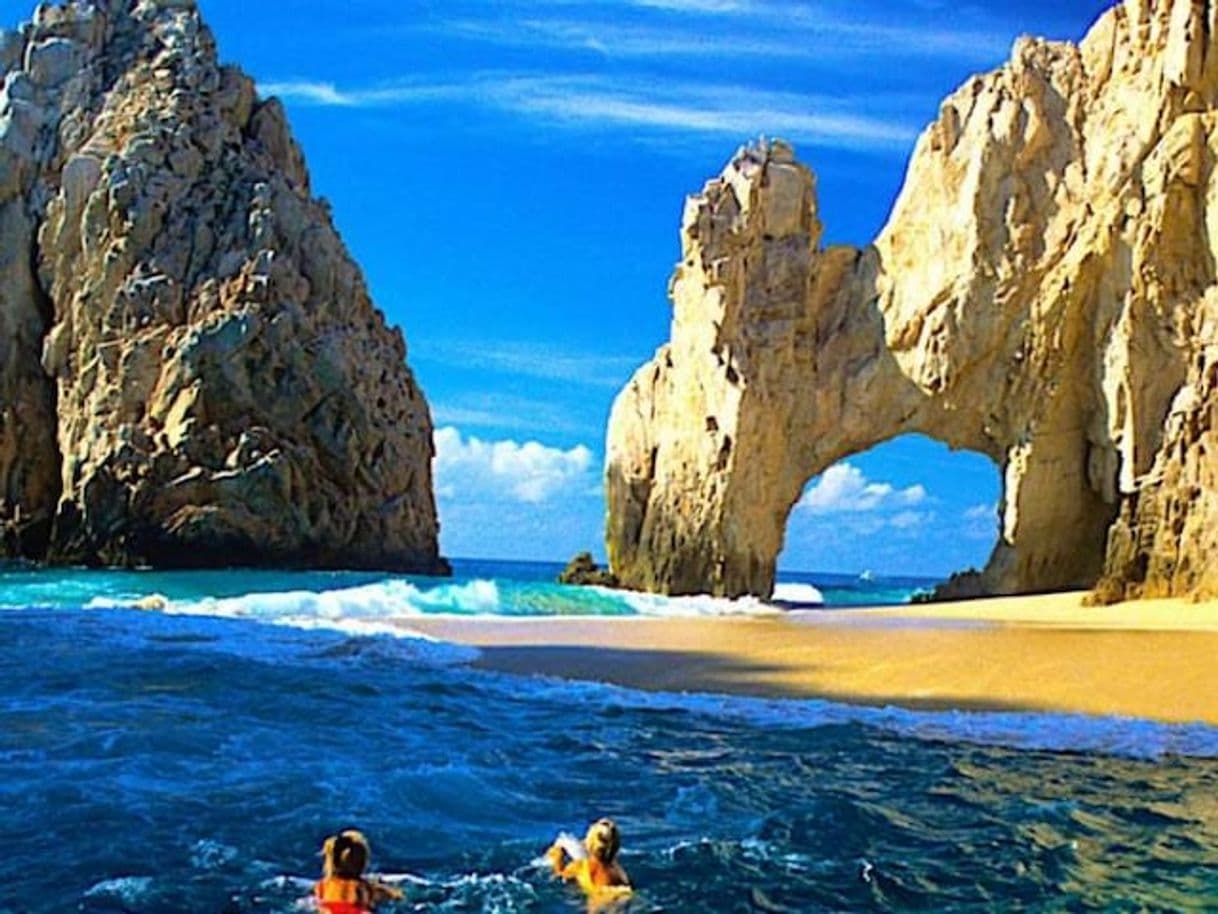 Place Los Cabos