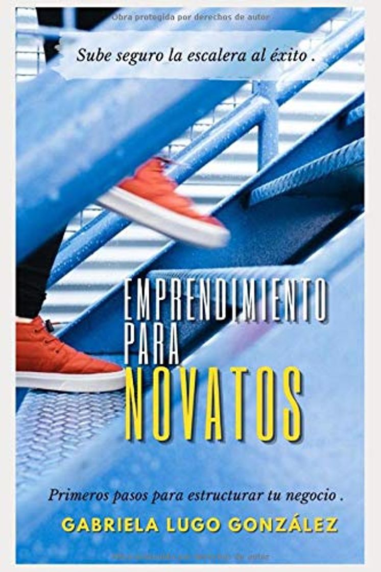 Libro EMPRENDIMIENTO PARA NOVATOS: PRIMEROS PASOS