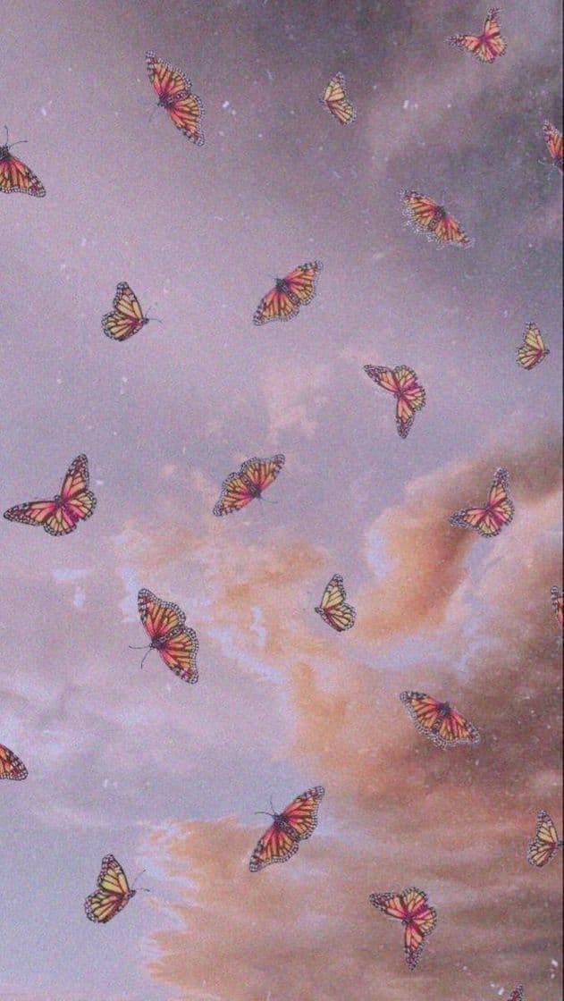 Fashion Wallpaper🦋