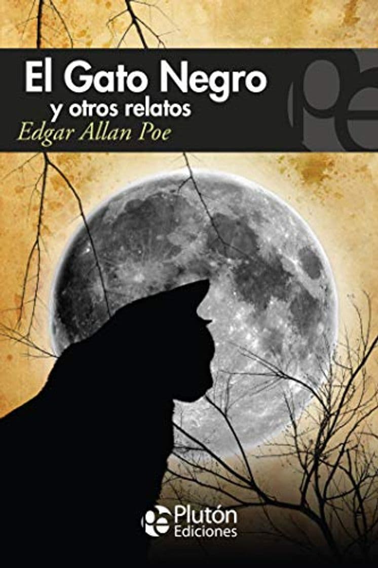 Libro El Gato Negro Y Otros Relatos