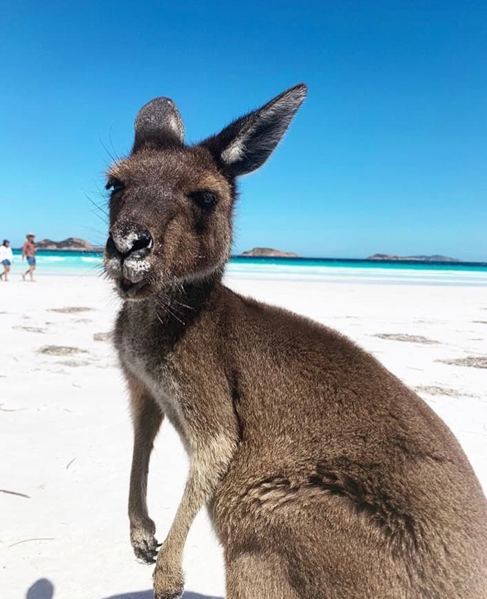 Place Lucky Bay