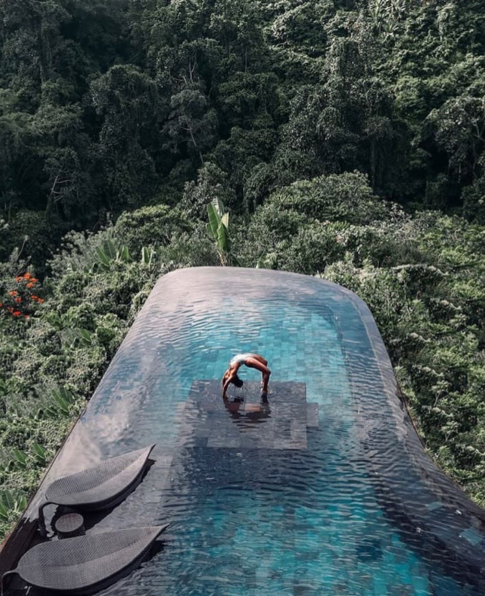 Place Hanging Gardens Of Bali