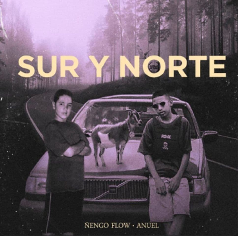 Canción Sur Y Norte •Nengo Flow,Anuel AA